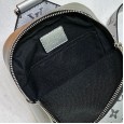 Louis Vuitton M30741 Taigarama chest pack (21mmx13mmx5cm)